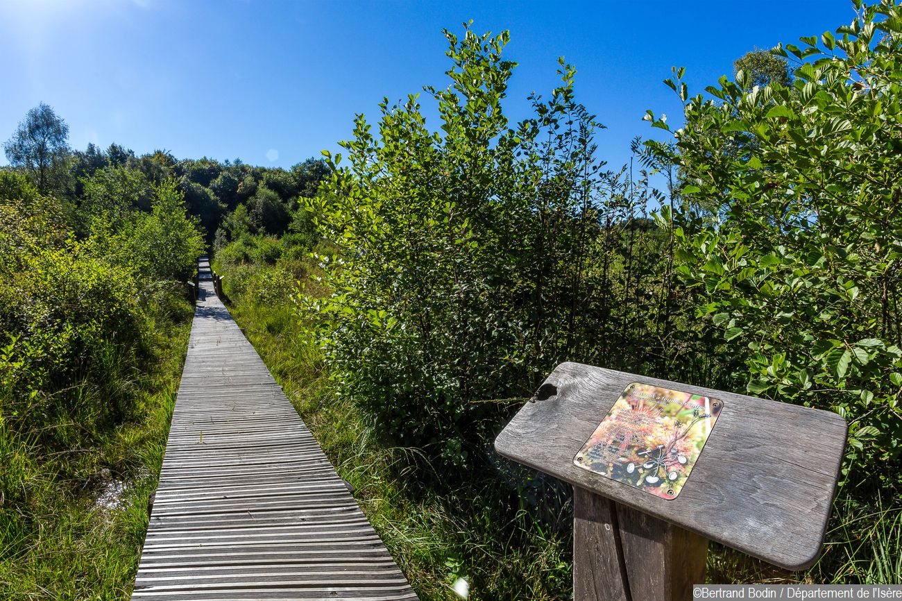 Tourbière des Planchettes