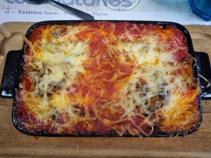 Les Platanes_Vertrieu