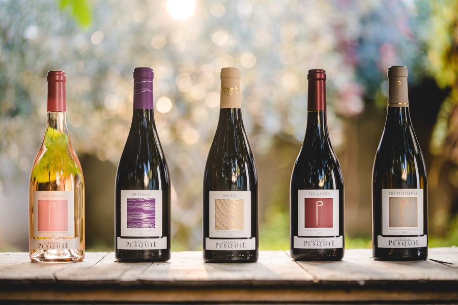 dégustation - Chateau Pesquié