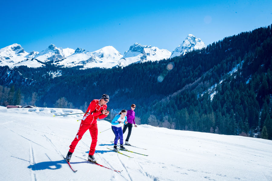 Biathlon tir à 10m mini collectifs