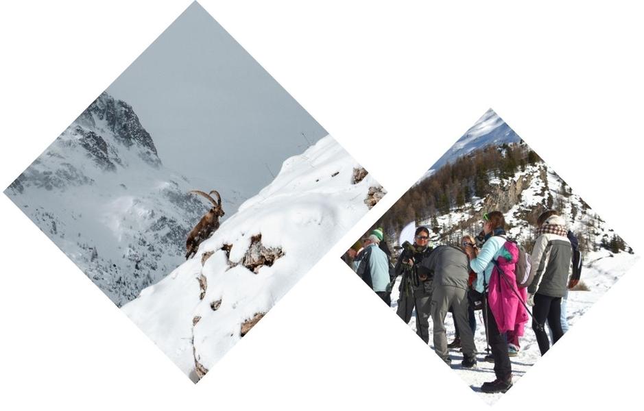 Photo portrait - A la découverte de la faune