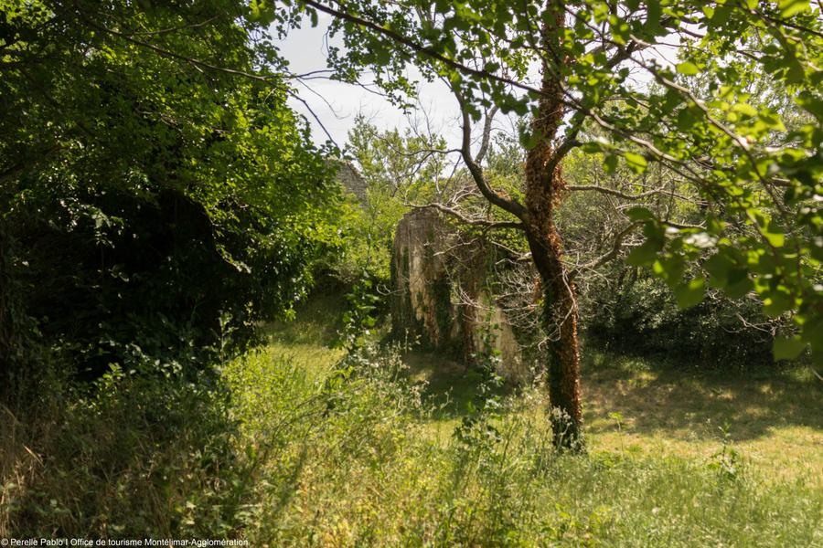 Journées Européennes du Patrimoine : conférence Le comte de Grignan_Allan