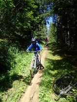 Activité encadrée par 7 aventures