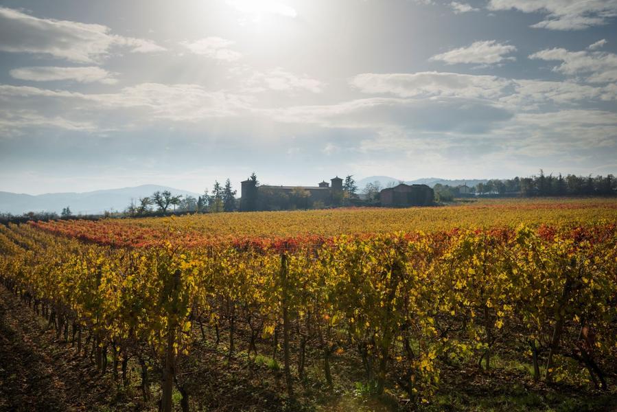 Domaine Barou_Charnas