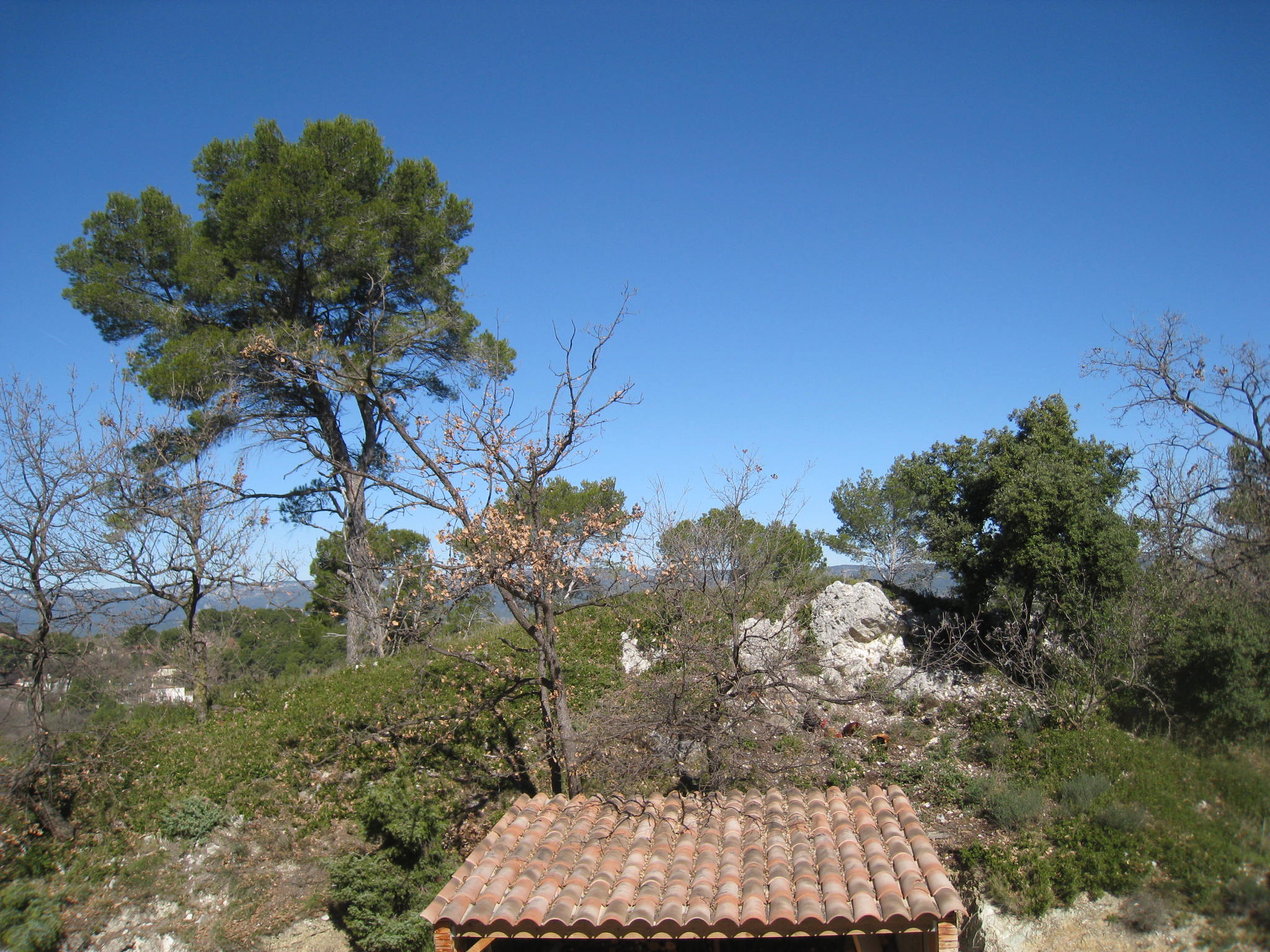 Villa des écureuils - photo 2