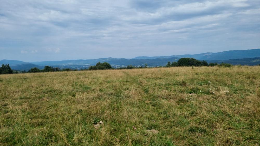 Belvédère du Mont de Rignat - Vignes de Journans et Rignat_Journans