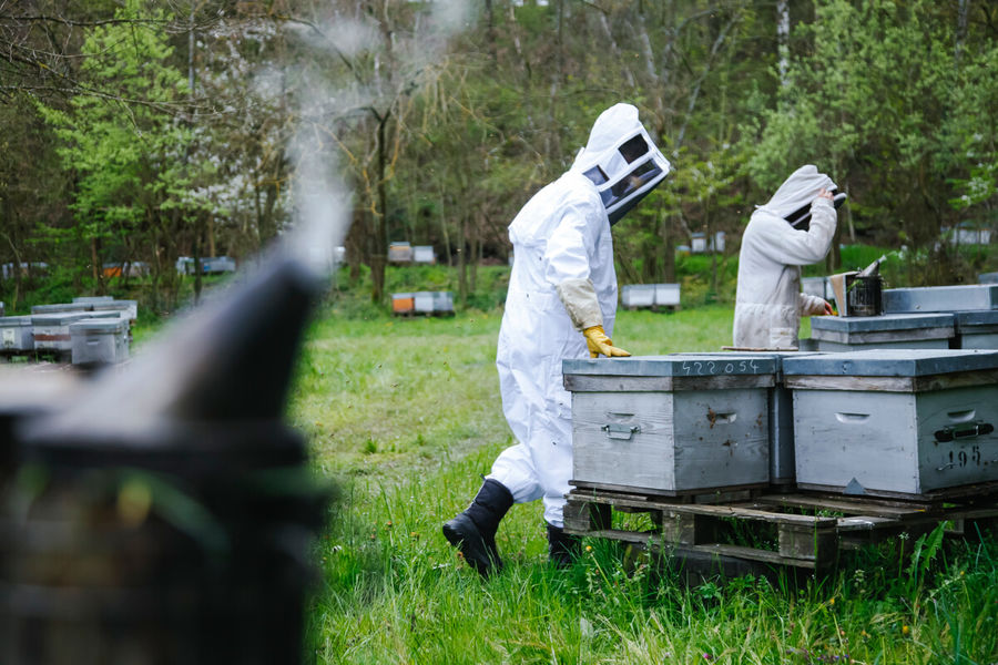 Miellerie des Gorges de la Loire