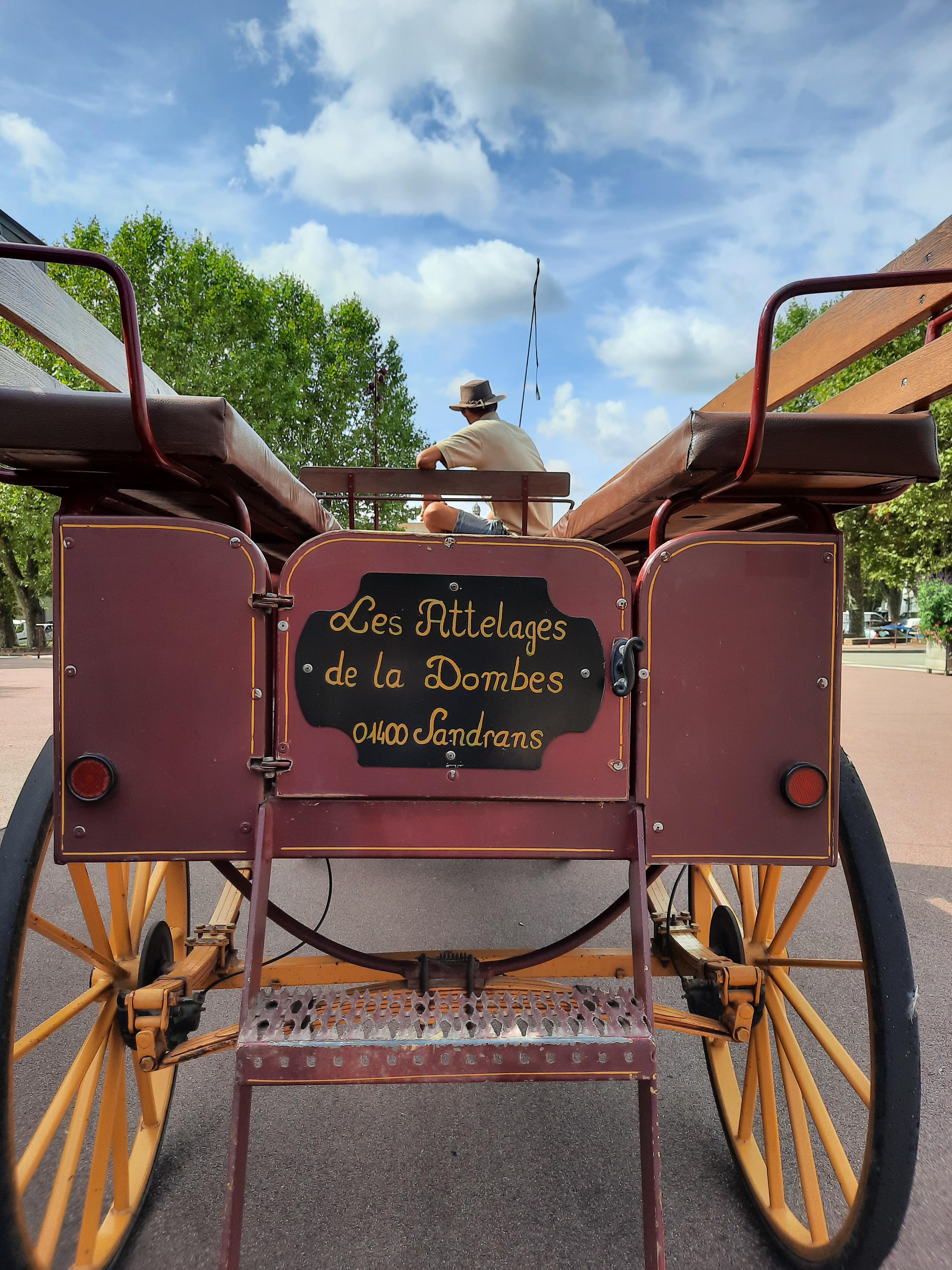 Châtillon, le temps d'une balade en calèche_Châtillon-sur-Chalaronne