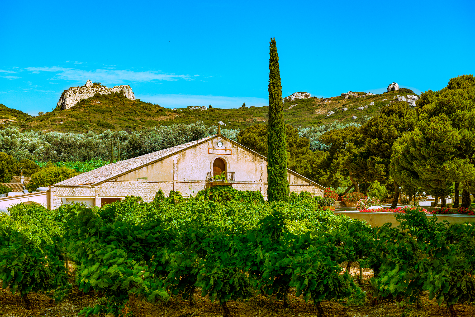 Château Virant - photo 3
