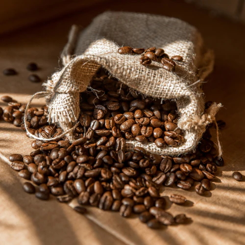 Découverte de la torrefaction artisanale des Cafés Masoala