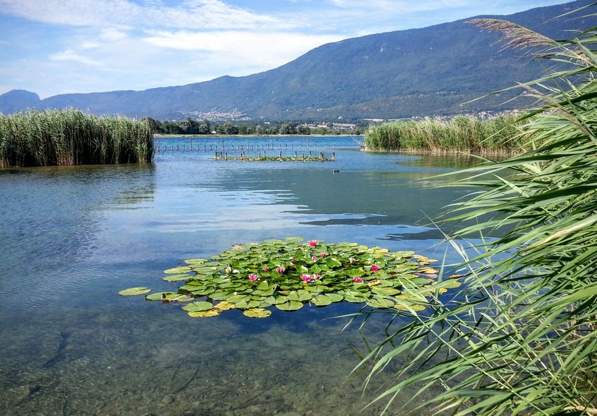 lac du Bourget