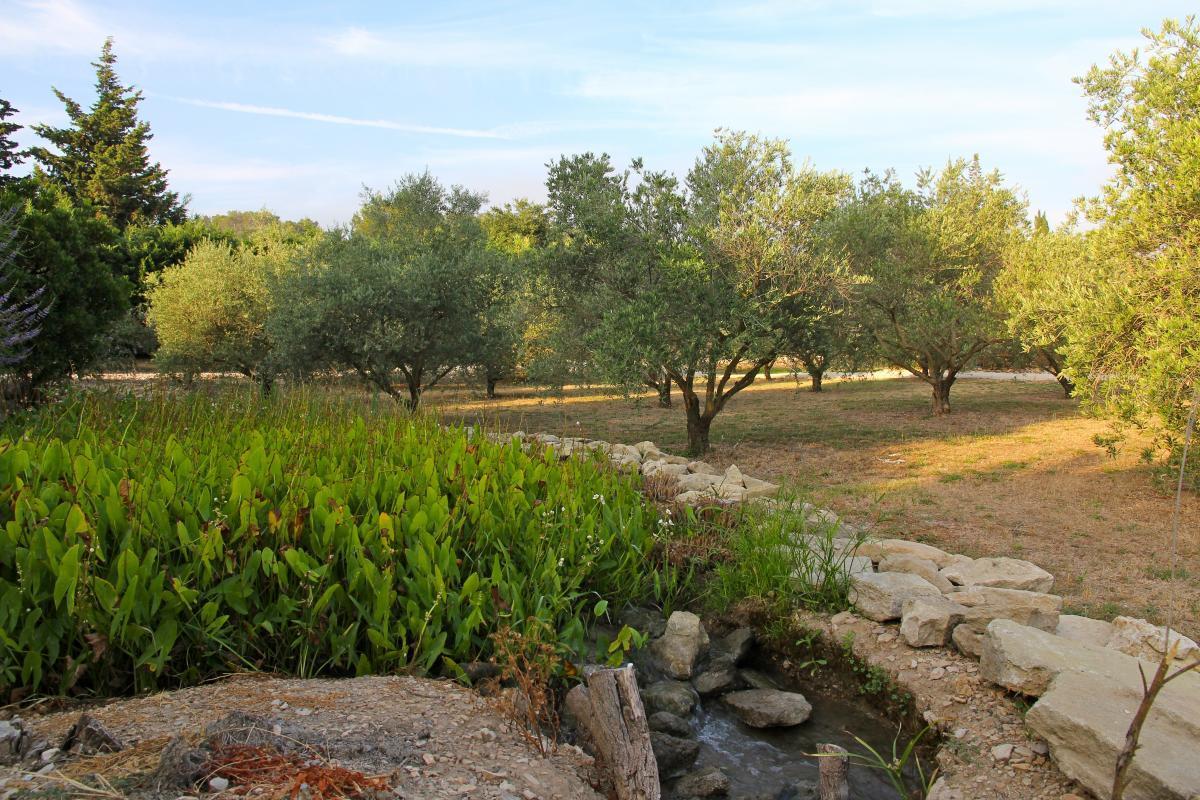 Mas des Figues, Saint-Rémy-de-Provence - photo 3