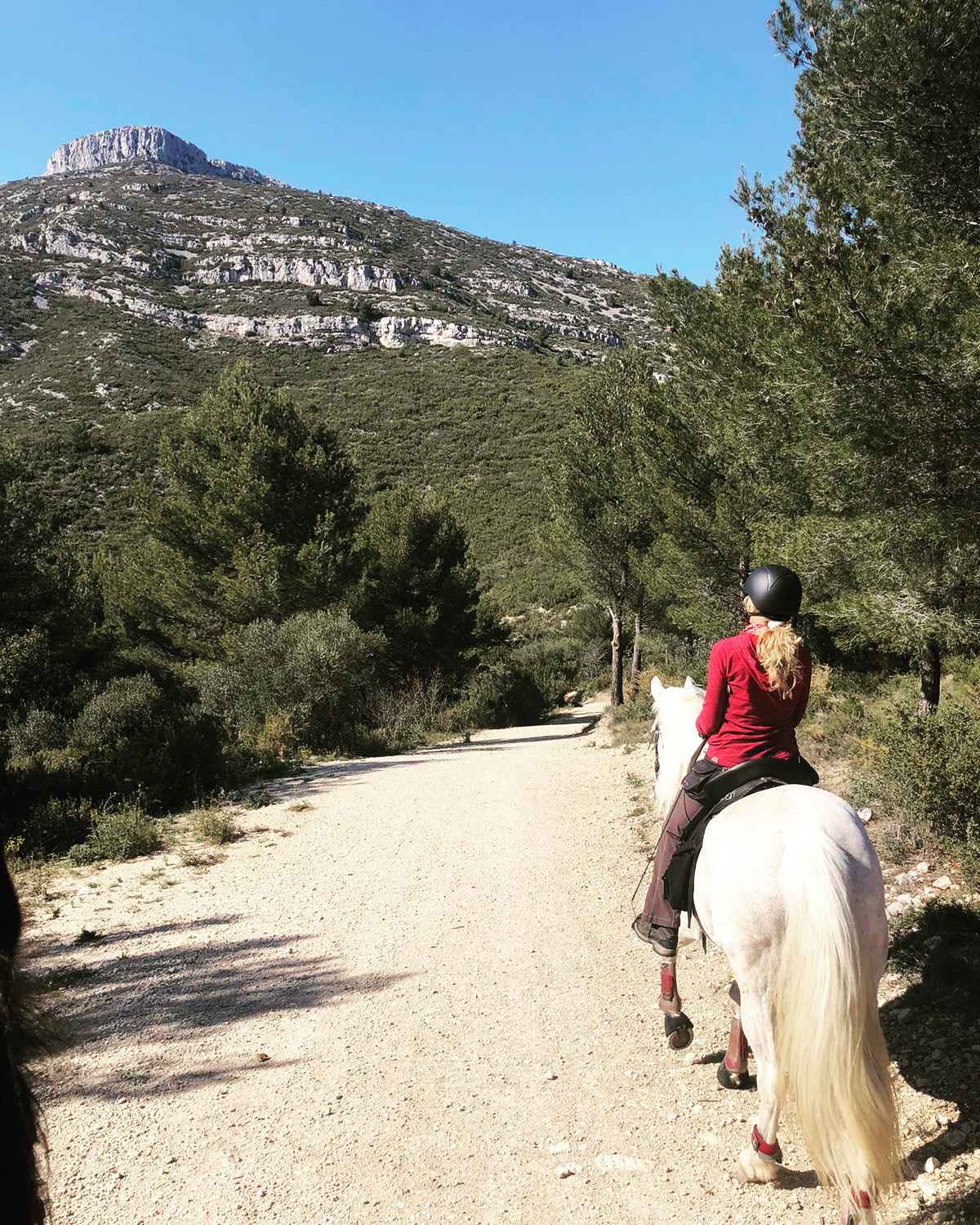 Ecuries du Lion d'Or