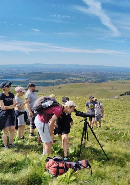 La faune de montagne, randonnée accompagnée