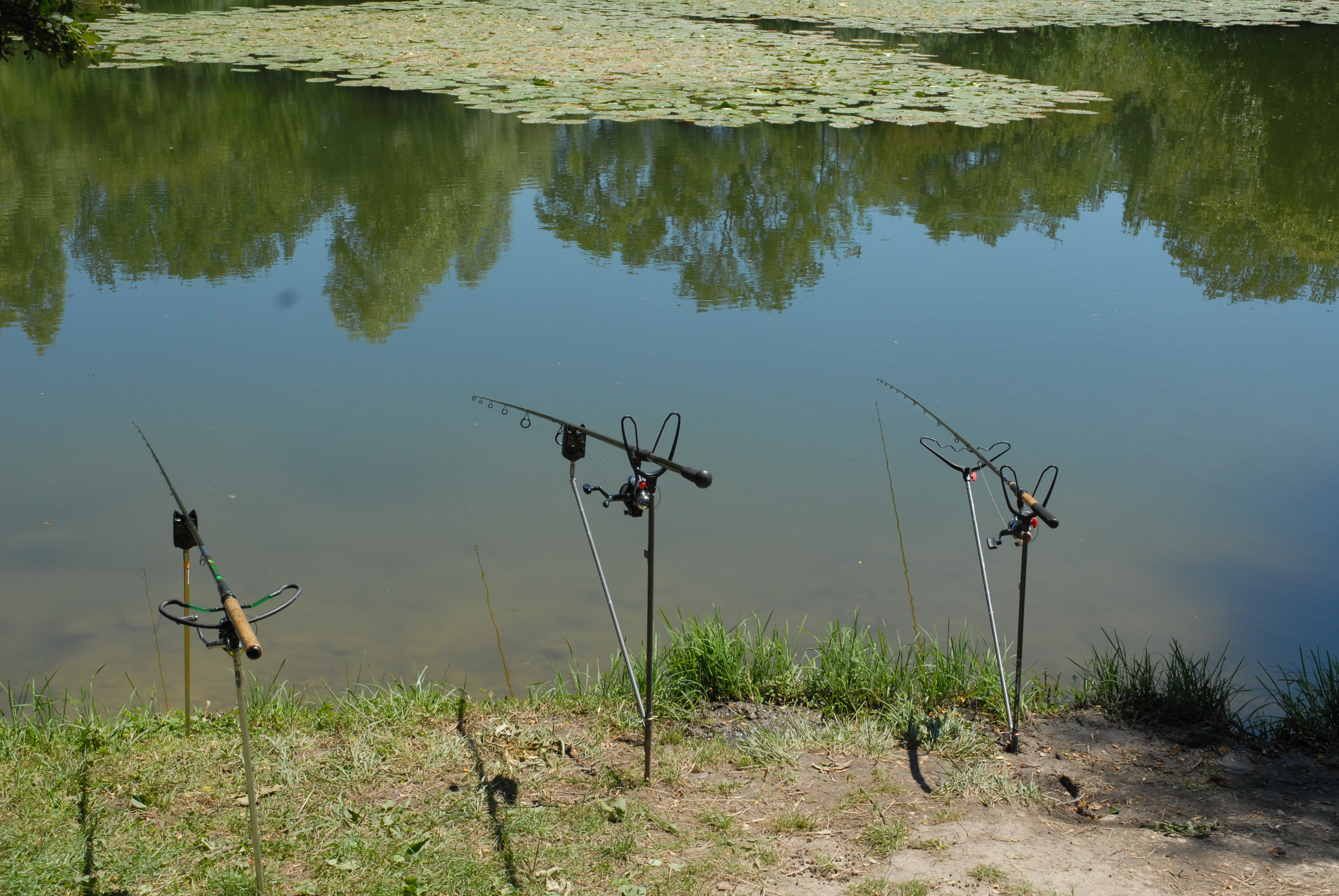 Pêche à l'étang de la Vallée Bleue