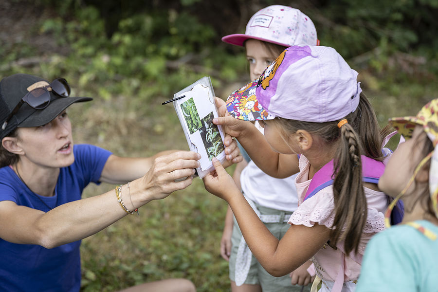 potion magique de Grandboramix