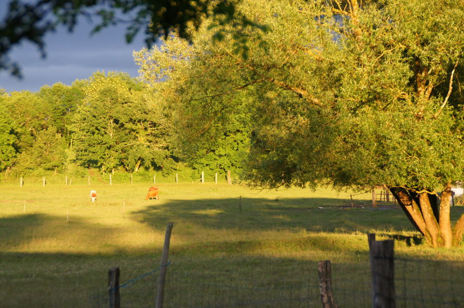 Restaurant La Ferme du Marais