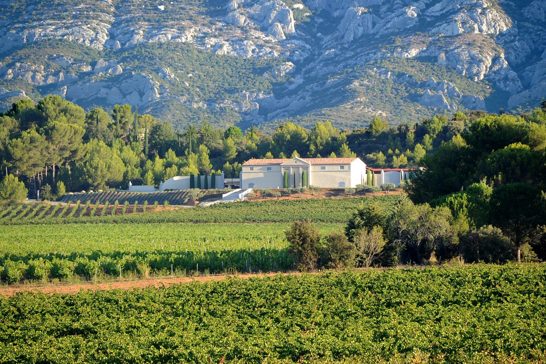 Camping le Cézanne - Montagne Sainte-Victoire - photo 5