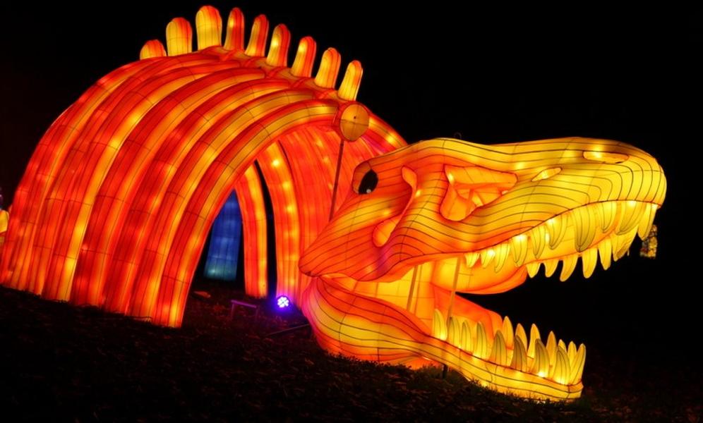 dragon lumineux lors de L'Odyssée Lumineuse au Parc Floral de Paris 