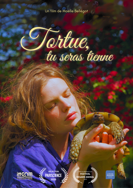 Affiche du film Tortue tu seras tienne