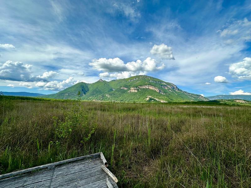 Sentier nature du Marais de Lavours_Ceyzérieu