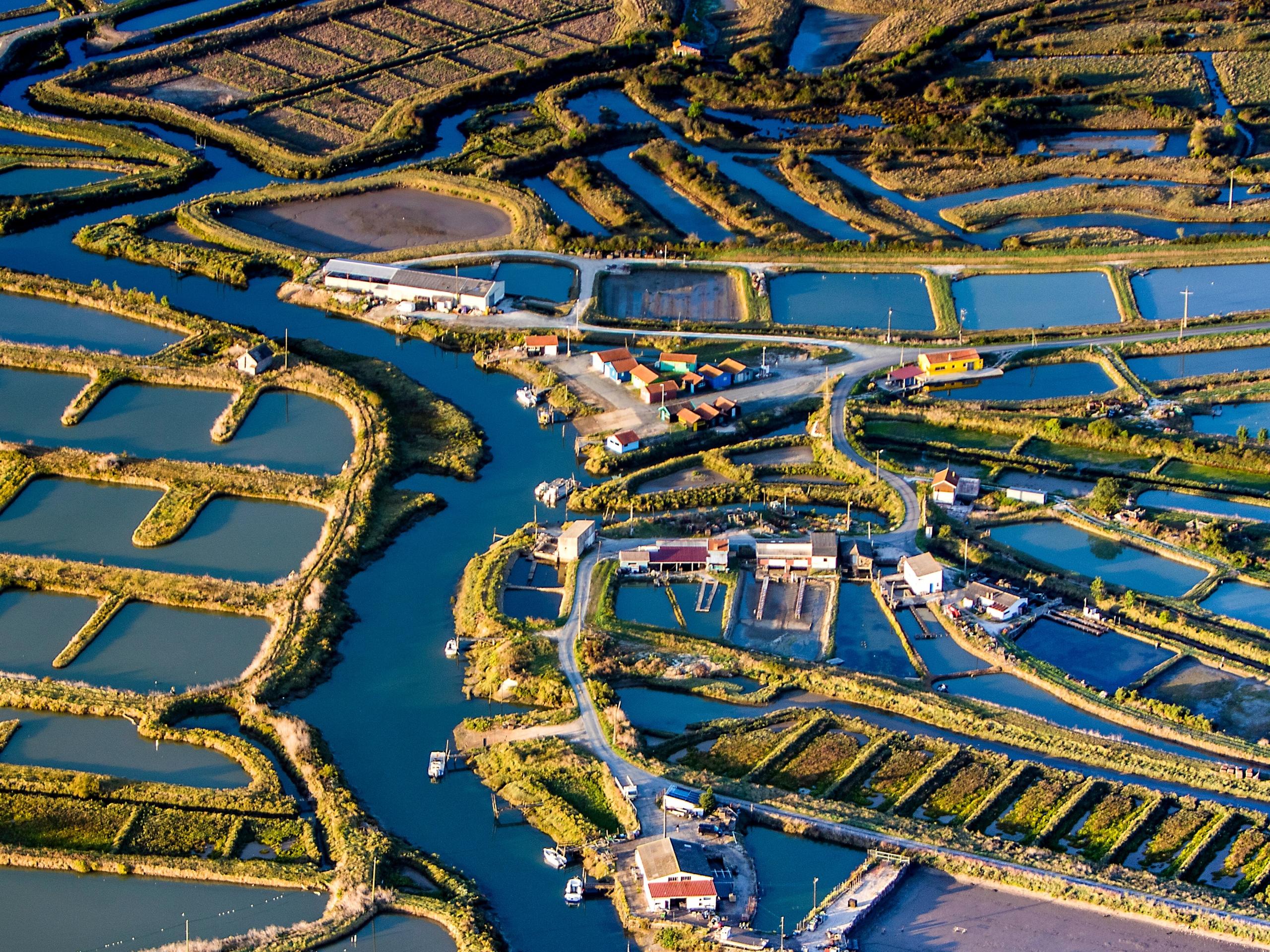 Port de Chaillevette