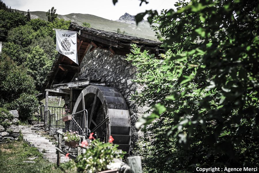 Moulin