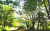Chasteuil Provence