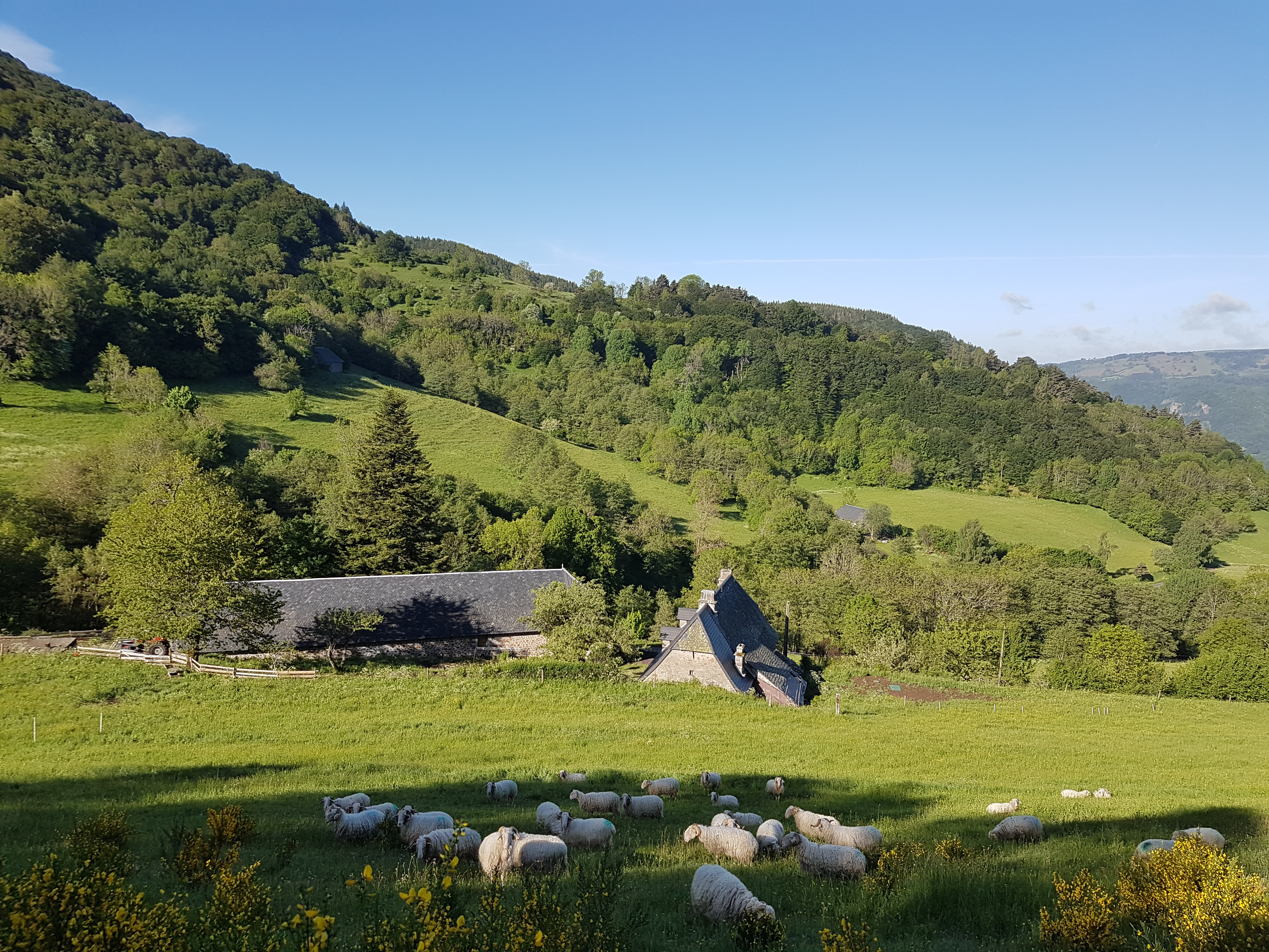 La Ferme de la Molède