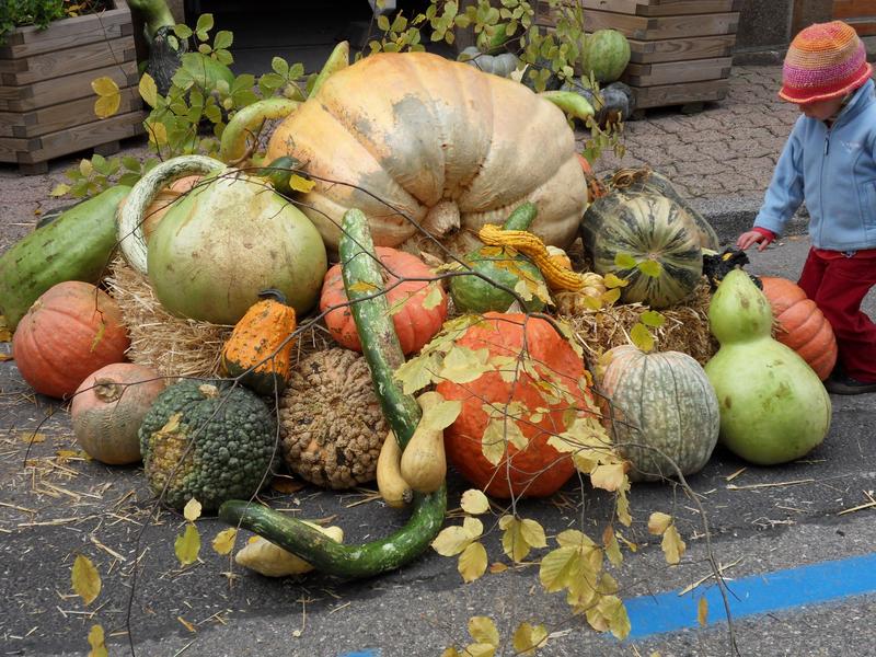 Fête de la courge Saint-Agrève