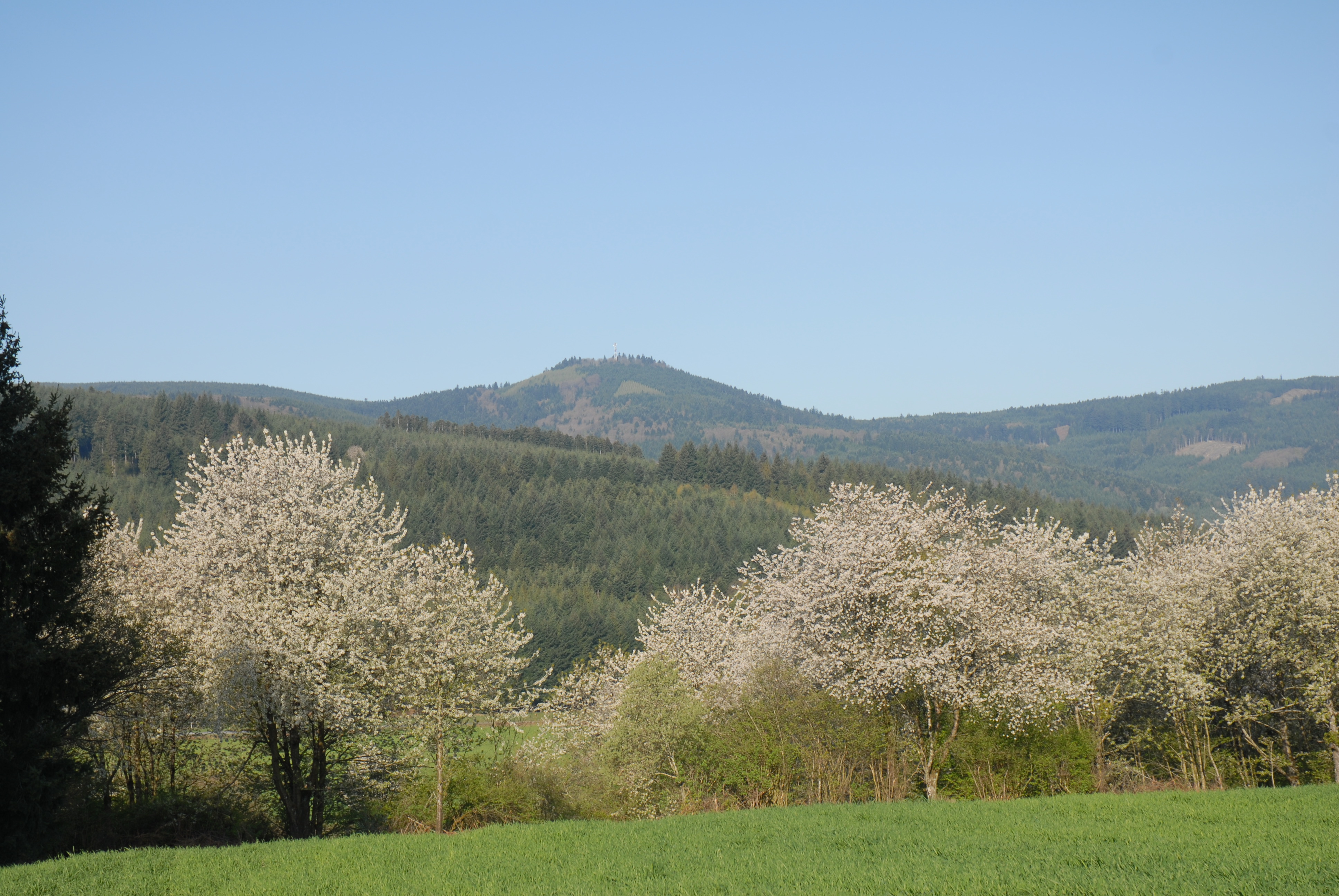 Grand trail du St Rigaud
