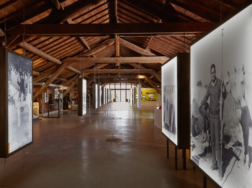 La Nuit des Musées au Musée de la Camargue