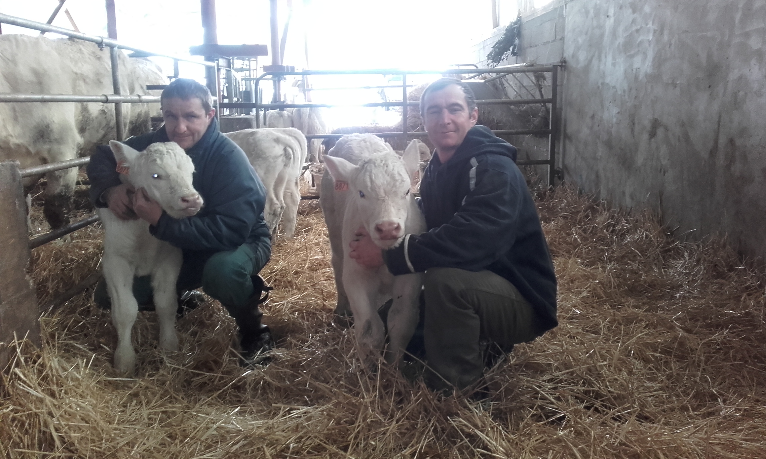 Les Pieds dans le Local® ! Visite d'exploitation GAEC Conty