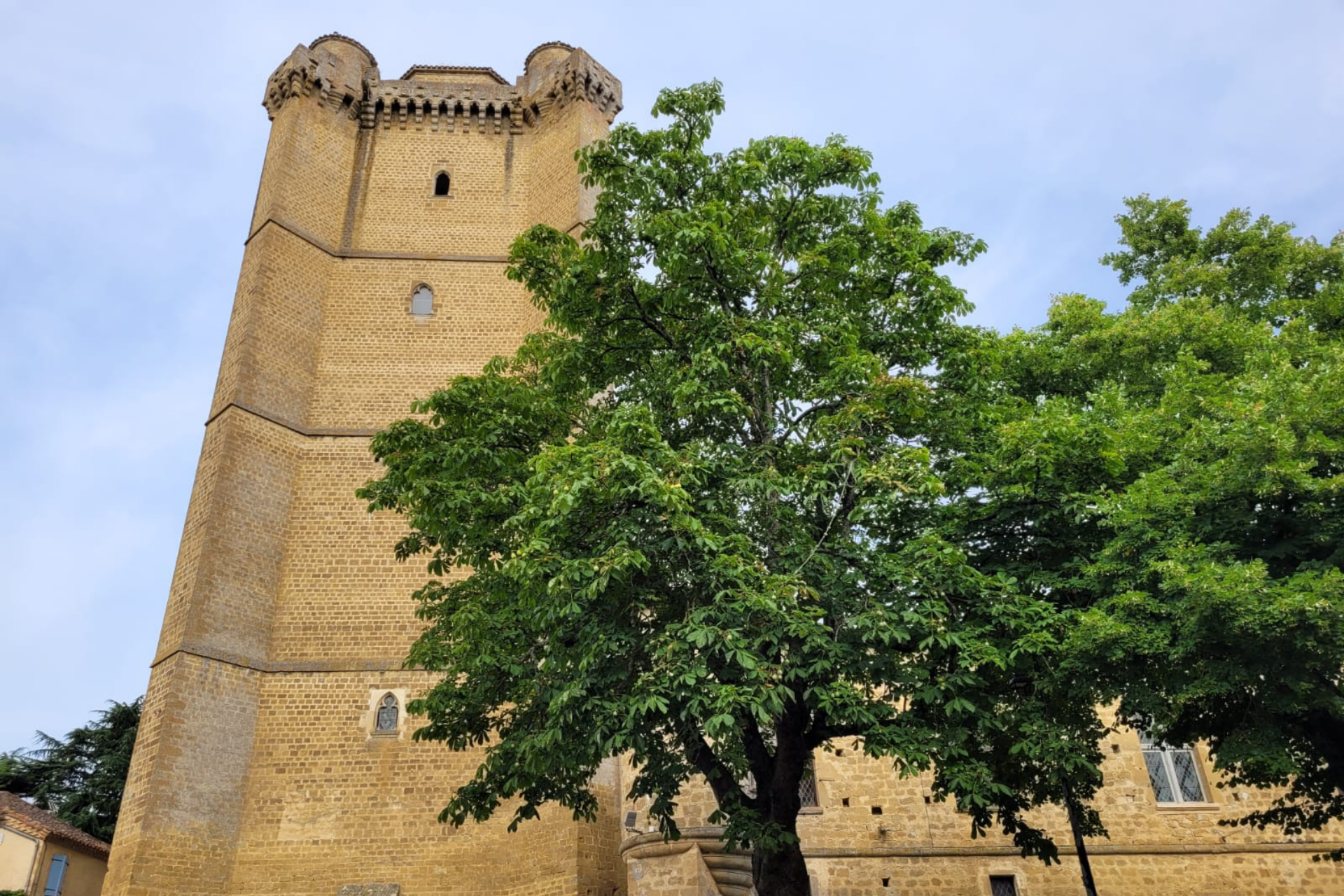 Donjon de Bassoues