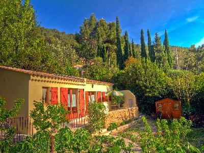 Les Oiseaux - photo 3