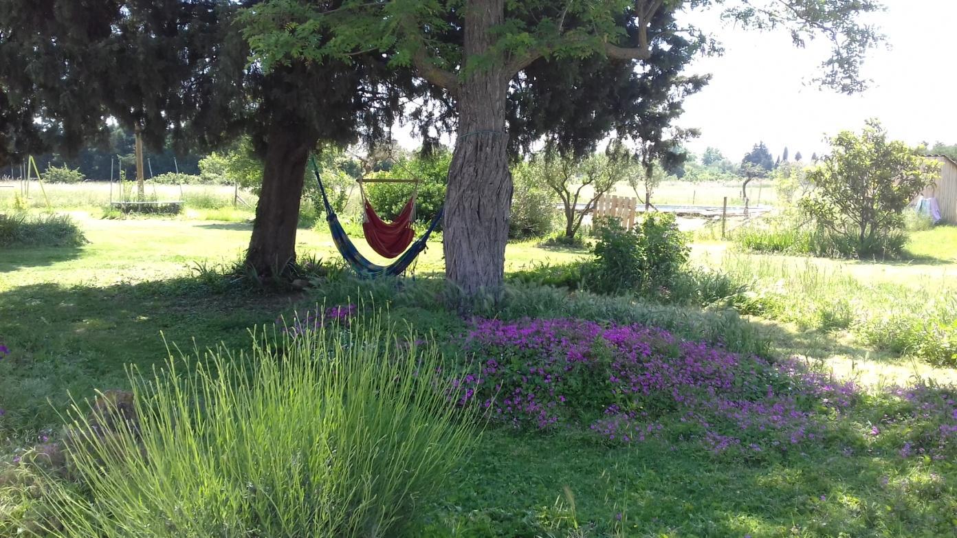 Le Mas des Manarelles, Barbentane - photo 3