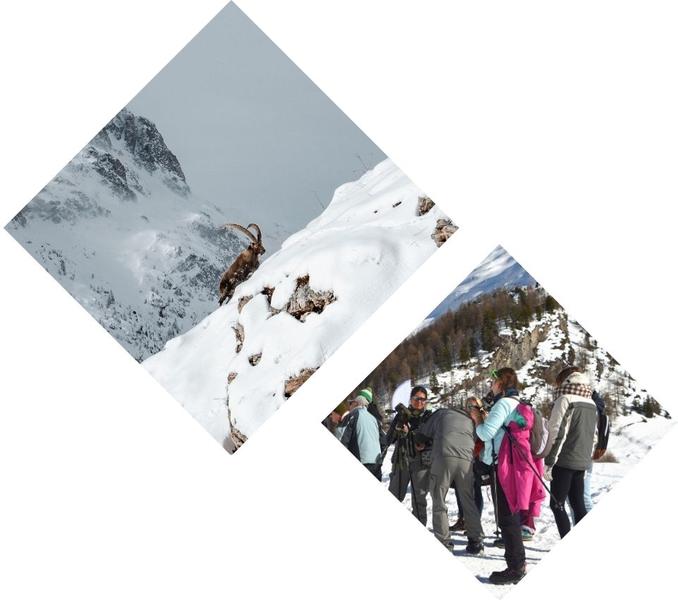 Photo paysage - A la découverte de la faune