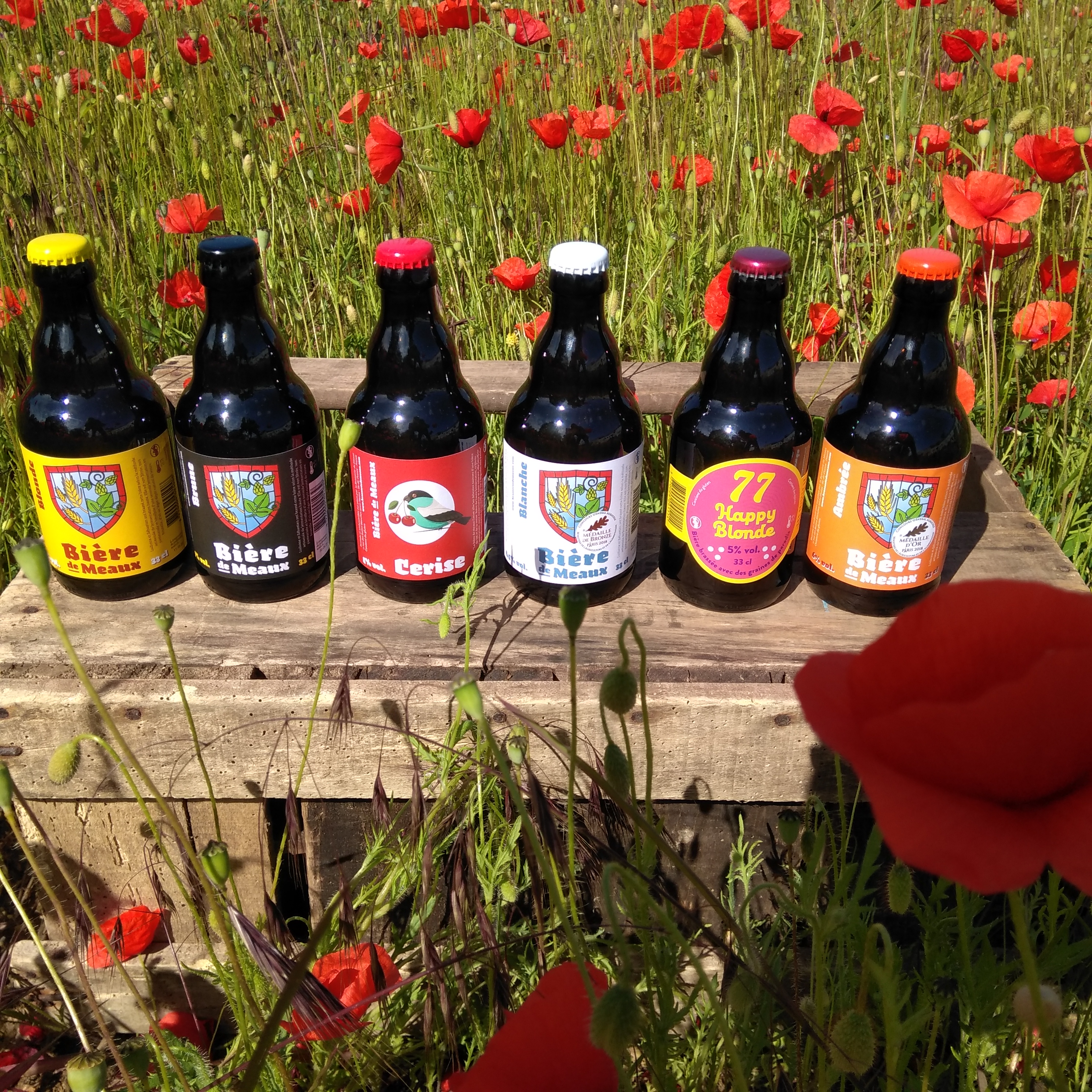 Bières pur malt