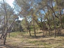 Parc naturel de L'Ermitage - Villeneuve-Loubet