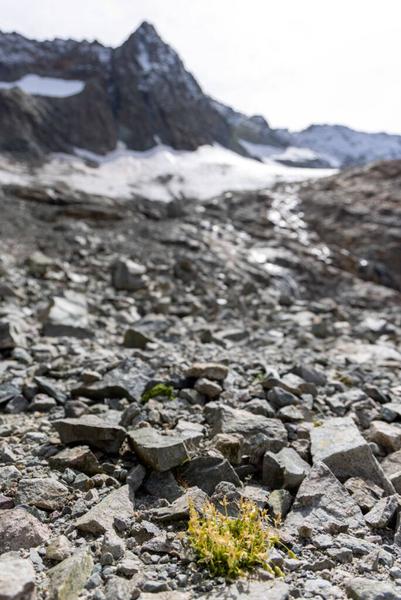 Conférence : les marges glaciaires