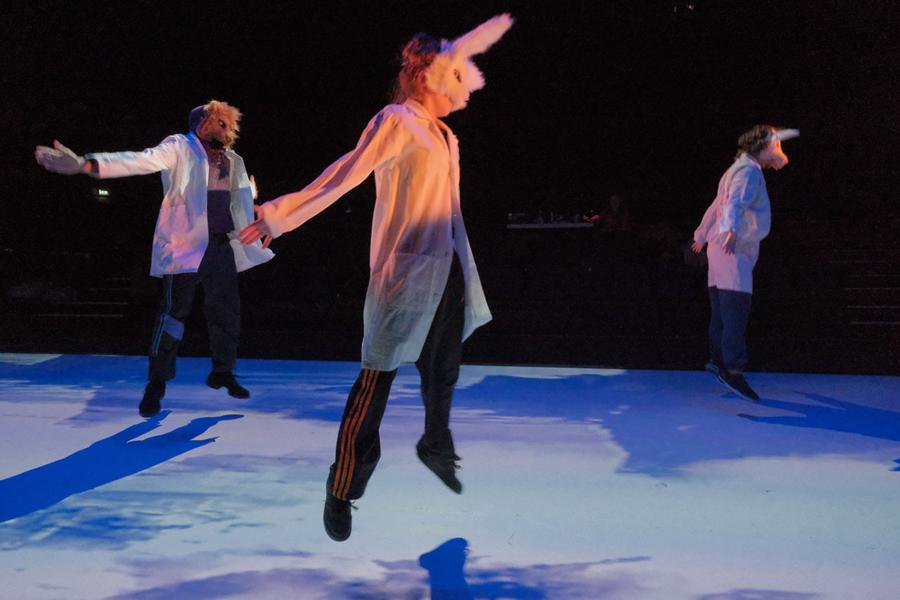 Pot au Noir spectacle