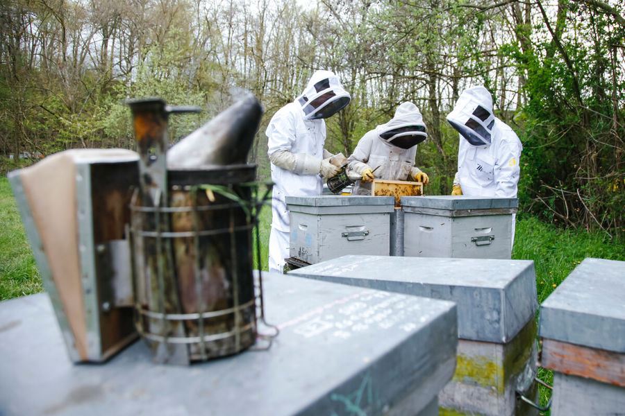 Miellerie des Gorges de la Loire