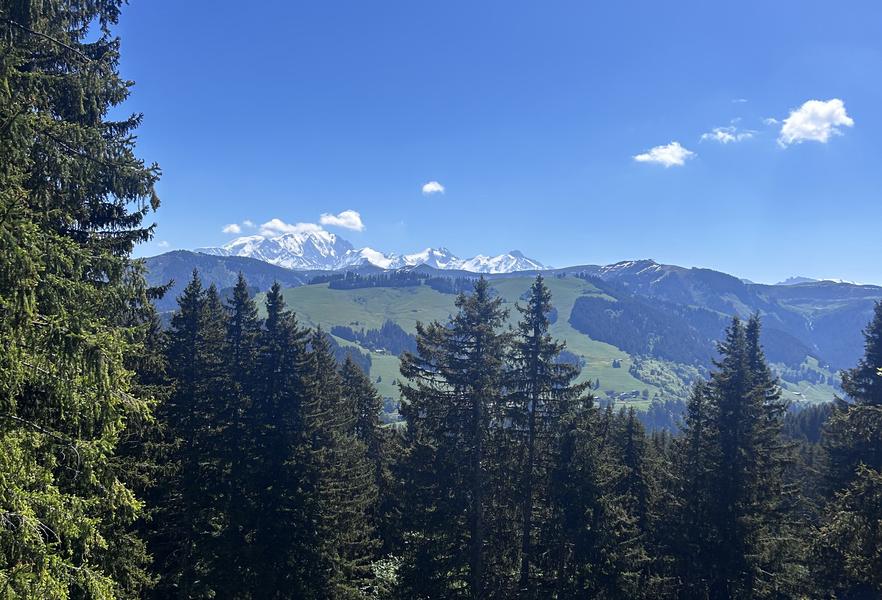 Point de vue sur le Mont Blanc depuis le Belvédère
