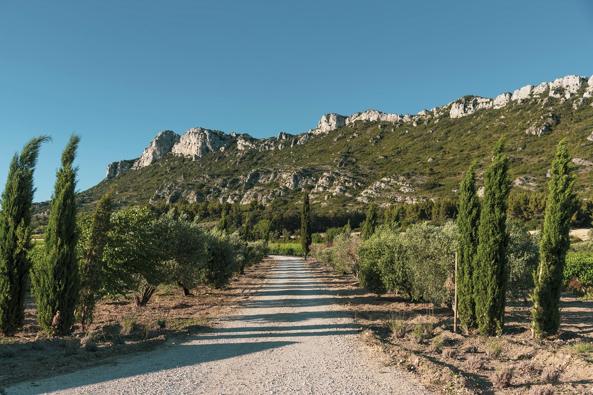 Domaine Vallon des Glauges