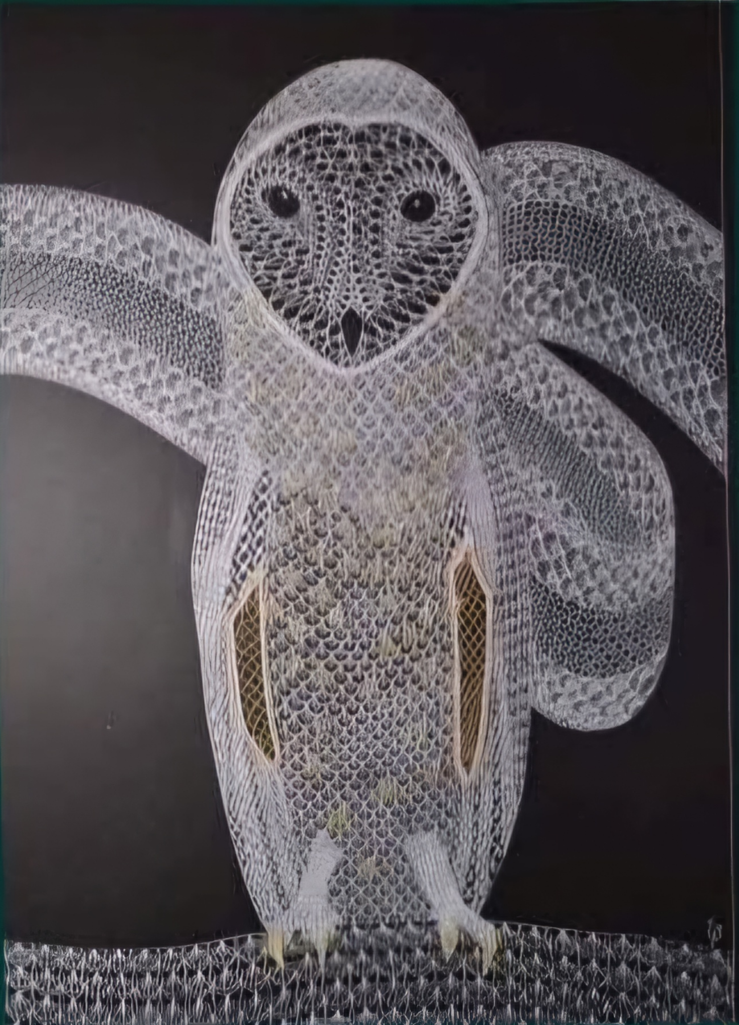 Exposition "Ledentelier" à la médiathèque