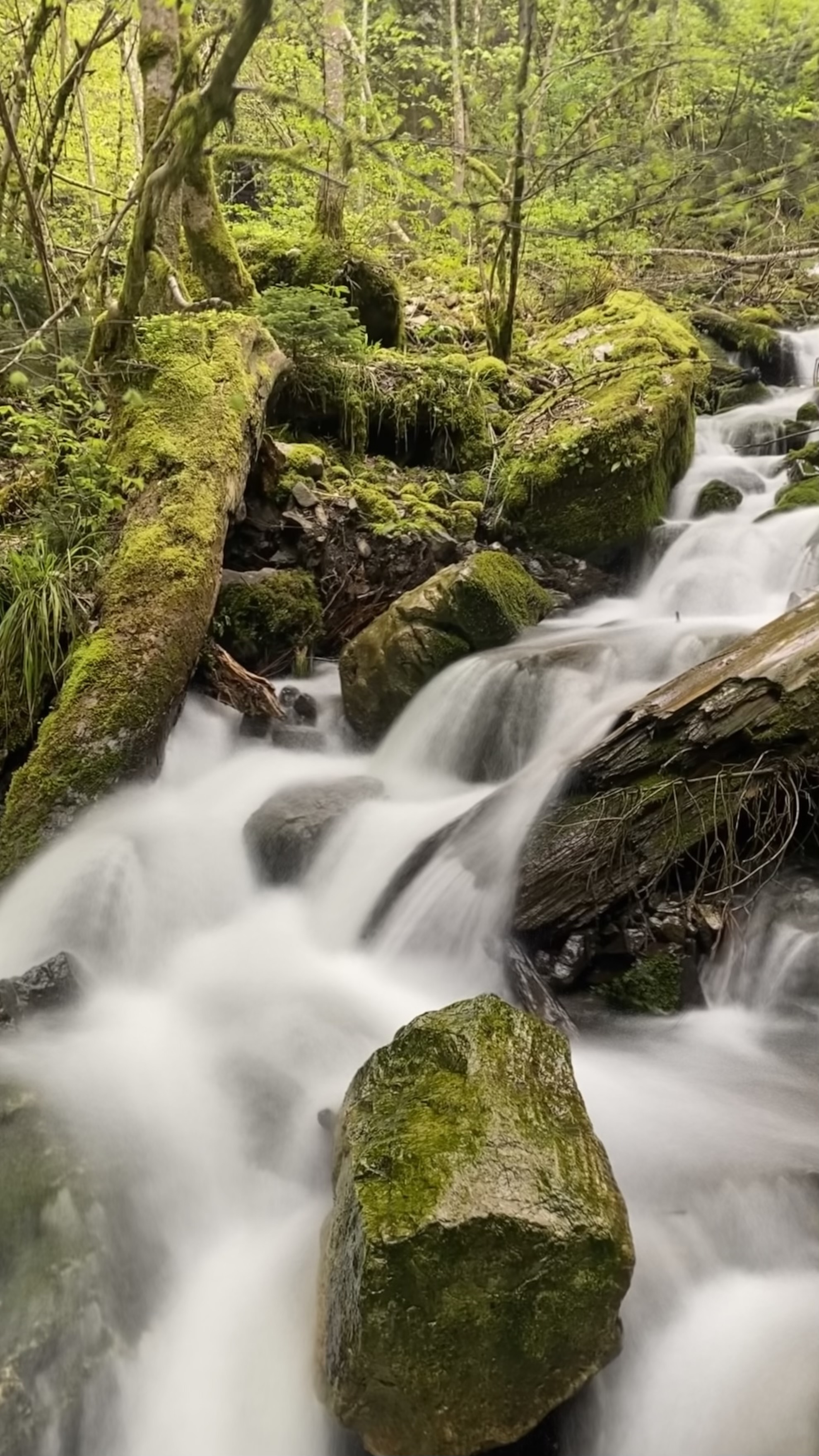 A walk to the Creux de l'Enfer waterfall