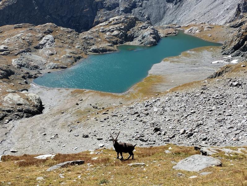 Tour de la Bessanèse_Bessans