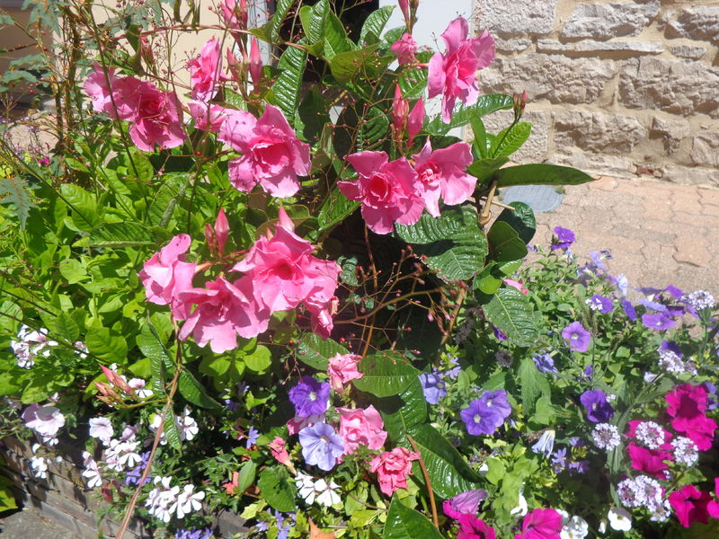 Fleurissement Vonnas