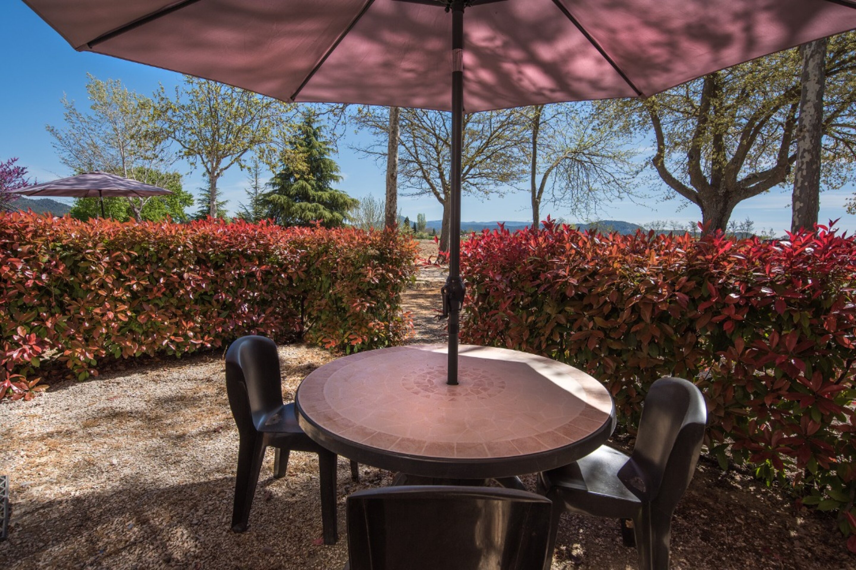 Le Petit Galla - photo 4