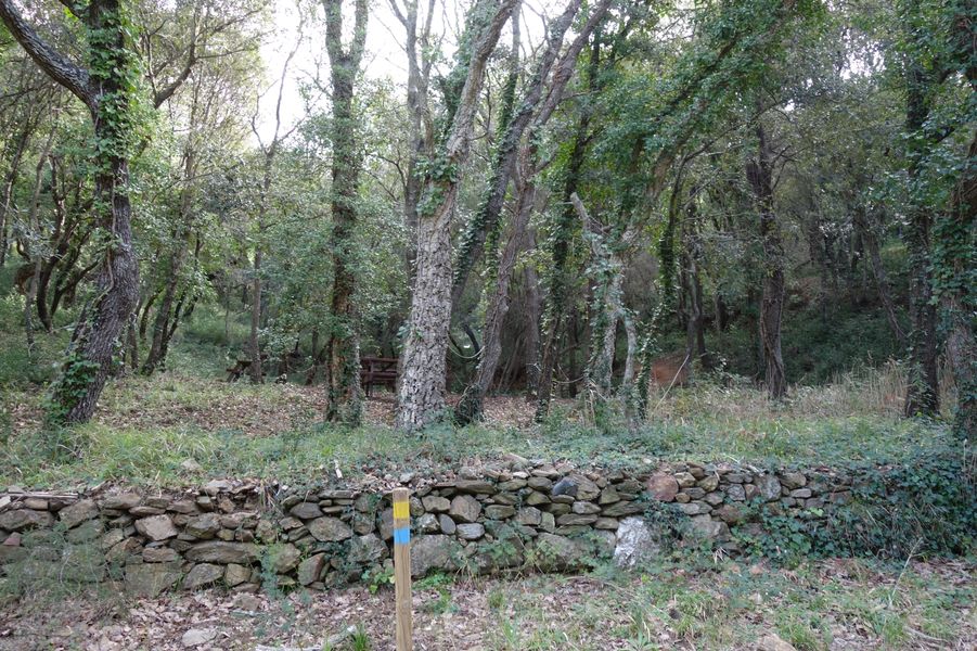 Aperçu sur les tables de pique-nique sur les Boucles de l'Arlatane